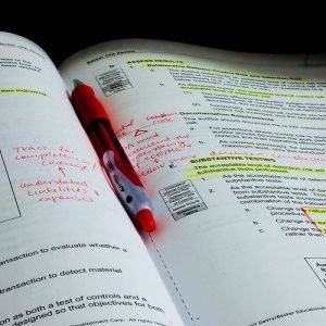 IIA-IAP Examengine & IIA-IAP Online Test - IIA-IAP Prüfungs-Guide