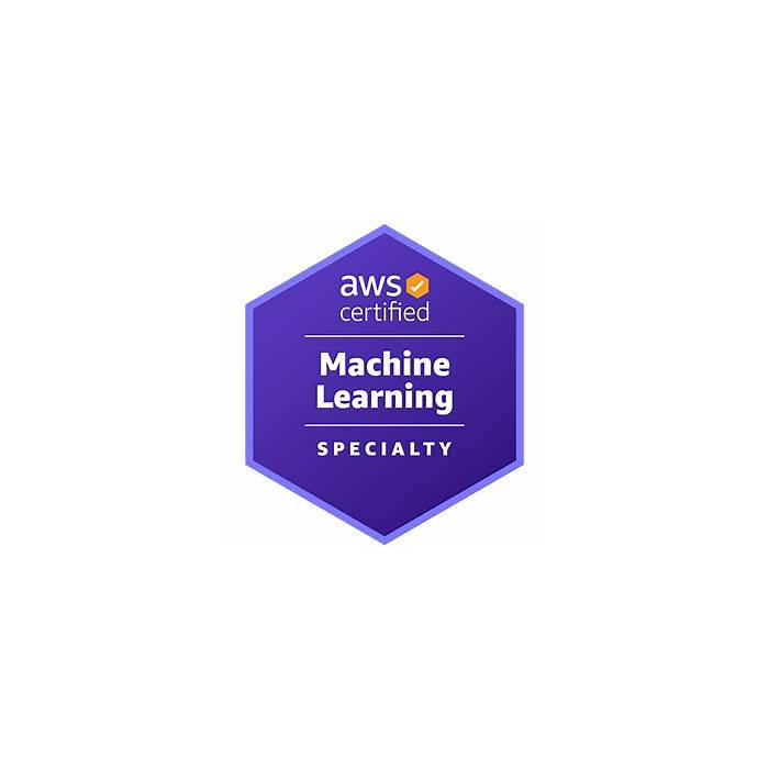 AWS-Certified-Machine-Learning-Specialty Fragen&Antworten, Amazon AWS-Certified-Machine-Learning-Specialty Exam & AWS-Certified-Machine-Learning-Specialty Prüfungsübungen