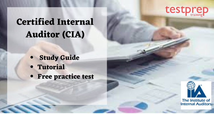 IIA-CIA-Part2 Prüfungs Guide & IIA IIA-CIA-Part2 Prüfungs-Guide