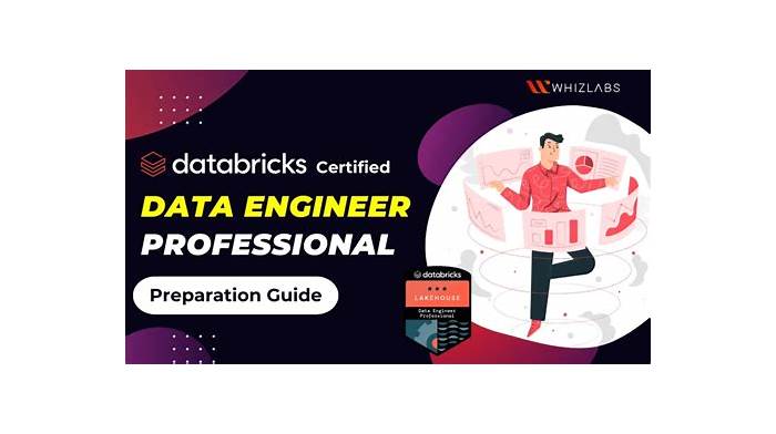 Databricks-Certified-Professional-Data-Engineer Originale Fragen, Databricks-Certified-Professional-Data-Engineer Online Prüfungen & Databricks-Certified-Professional-Data-Engineer Kostenlos Downloden