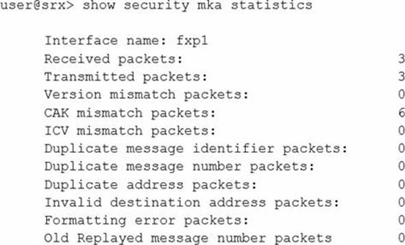 JN0-231 Testantworten & Juniper JN0-231 Testfagen - JN0-231 Prüfungsaufgaben