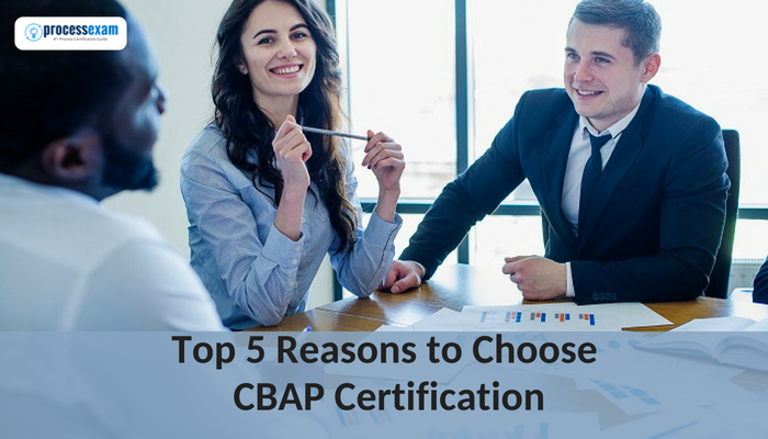 Certified-Business-Analyst Übungsmaterialien - Salesforce Certified-Business-Analyst Examsfragen