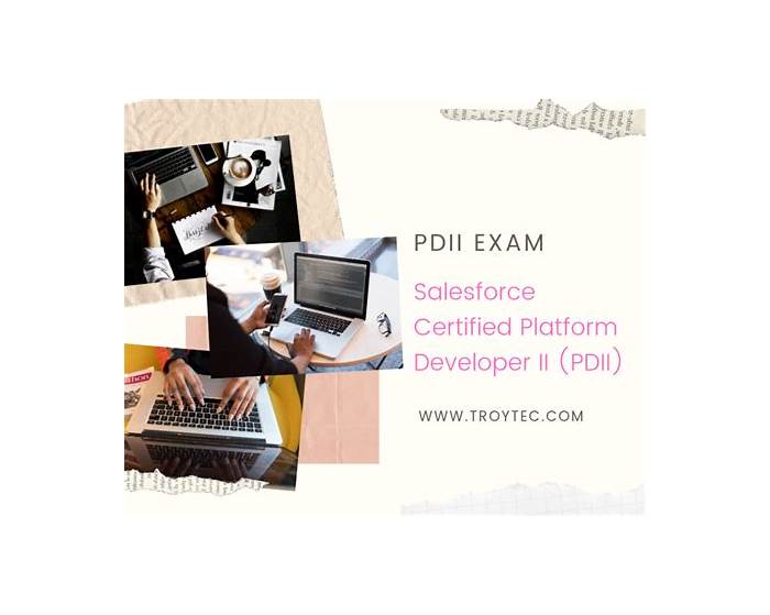 PDII Praxisprüfung - Salesforce PDII Prüfungsfragen, PDII Trainingsunterlagen