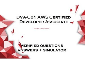 Amazon AWS-Certified-Developer-Associate Schulungsangebot & AWS-Certified-Developer-Associate Fragenpool - AWS-Certified-Developer-Associate Lerntipps